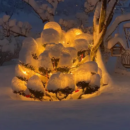 Naturoase, Naehe Arlberg Und Montafon, Perfekter Startpunkt Zum Skifahren ! Grunkraut