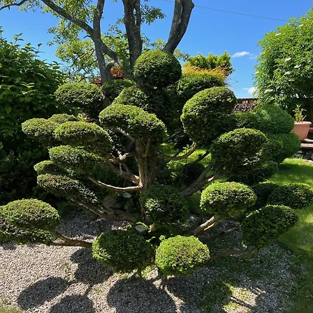 Mit Parkaehnlichem Garten Am Feldrand Nyaraló *